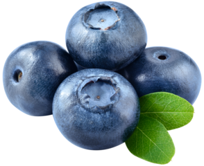 Blueberry isolated png. Blueberry with leaves on white or transparent background. Perfect retouched four blueberries with leaf no background. Png blueberry. Full depth of field.