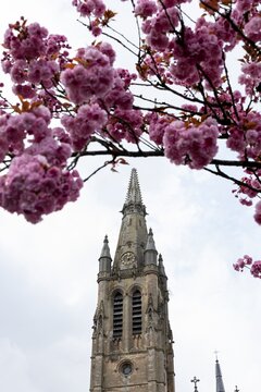 cherry blossoms in front of the catholic cathedral in arlon belgium