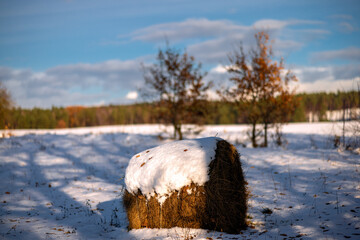 Zamarznięte ośnieżone pole. Pomorze zachodnie