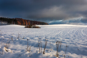 Zamarznięte ośnieżone pole. Pomorze zachodnie