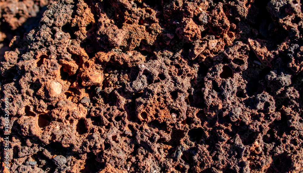 Poster close up of brown textured background showing detailed surface patterns