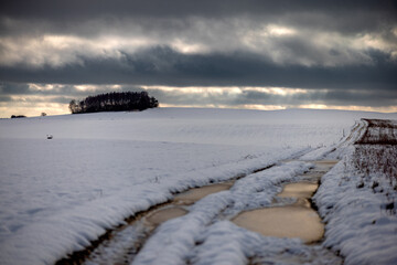 Zamarznięta polna droga na ośnieżonym polu. Pomorze zachodnie