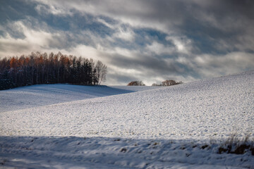 Zamarznięte ośnieżone pole. Pomorze zachodnie