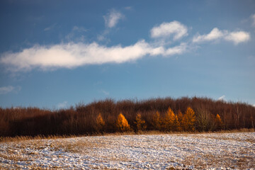 Zamarznięte ośnieżone pole. Resztki jesieni Pomorze zachodnie