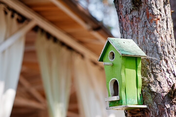 Vivid Green Birdhouse on Tree Overlooking Peaceful Garden Scene..