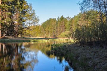 Forest lake in May.