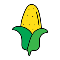 corn vector illustrator 