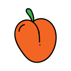 orange fruit vector illustrator 