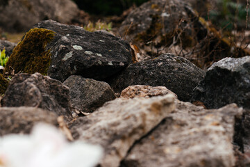 A close-up of rugged, moss-covered rocks in a natural setting, highlighting their rough texture, earthy tones, and organic beauty.