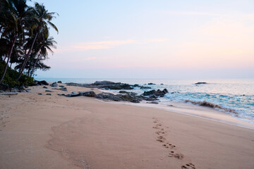 Idyllic Tropical Beach During Sunset with Calm Waves and Palm Trees..