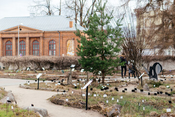 A tranquil botanical garden with winding pathways, lush greenery, and natural rock formations,...