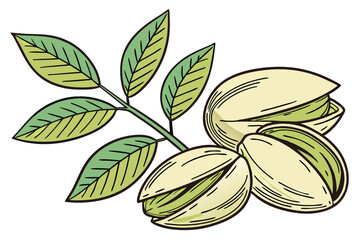 104 Realistic pistachio nuts, Detailed green pistachio kernels, Cracked pistachio shells, Vibrant green leaves, Photorealistic texture, High-resolution food photography, Soft natural lighting, White b