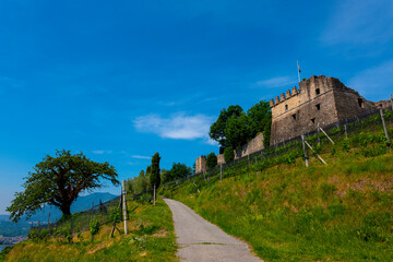 Castle and Vineyard with Mountain View in a Sunny Summer Day in Morcote, Ticino, Switzerland.