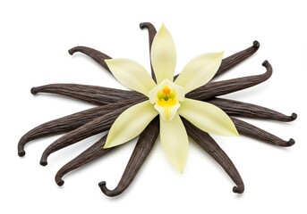 Vanilla bean pods arranged around a pale yellow vanilla flower on a white surface, close up studio shot