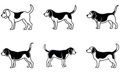 Cute Black and White Beagle Dog Illustrations