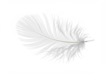 Single white feather with delicate barbs isolated against a bright white background