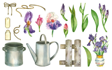 Spring flowers irises pink and purple, garden tools, watering can, saucepan, fence, ropes for tying, pebbles for decoration, bow for bouquets. All objects are hand-painted with watercolors. © guliy_art