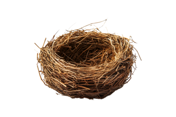 Empty birds nest isolated on transparent background
