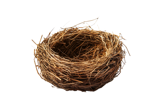 Empty birds nest isolated on transparent background
