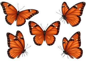 Five monarch butterflies with orange wings and white spots against a white background are arranged in a pattern