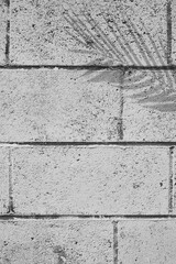 Soft light and shadows on simple textured walls.