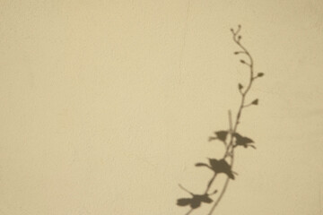 Soft light and shadows on simple textured walls.