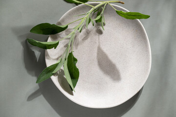 Flat lay of gray monochrome plates with sage. Culinary concept with space for text
