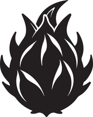 Dragon fruit silhouette, black and white silhouette, vector and illustration