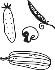 Cucumber, zucchini, peas, mushrooms. Drawing, engraving, ink, line art, vector	