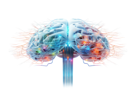 Intricate Cognitive Symphony: A mesmerizing, close-up visualization of the human brain, showcasing the complex neural networks.