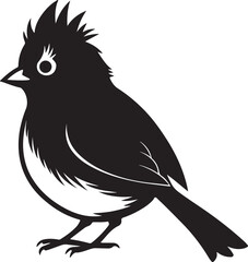 tufted titmouse bird silhouette, black and white silhouette, vector and illustration