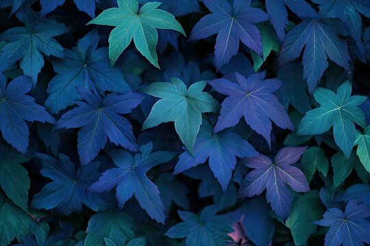 Vibrant foliage in shades of teal and indigo.  Densely packed leaves in various hues