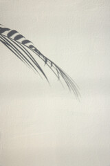 Soft light and shadows on simple textured walls.