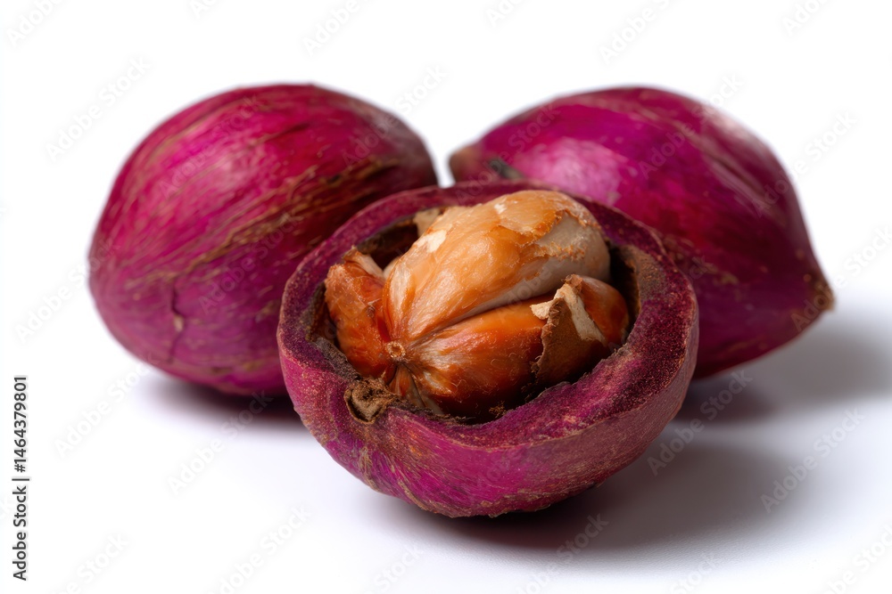 Poster examining cola nuts close up one cut open showing inner seed