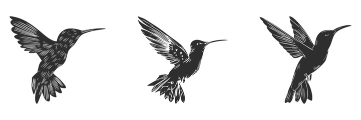 Obraz premium Hummingbird Silhouettes In Flight Set. Graceful Avian Motion And Elegance Isolated Vector Illustration Collection