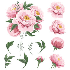Fototapeta premium Floral composition of pink peonies and green leaves Spring floral design