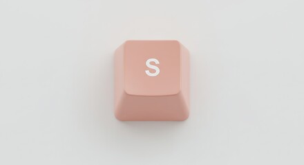 Isolated 'S' Keycap on White Background