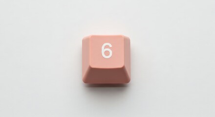 Dusty Rose Keyboard Key: Number Six Close-Up