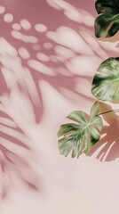 Pastel pink background with tropical leaves and shadows