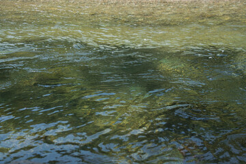 The gently flowing surface of the Isuzu River at Ise Grand Shrine