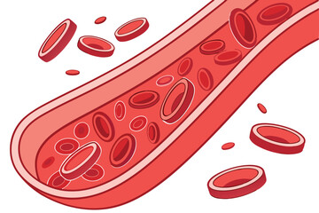 83 Medical illustration, red blood cells, microscopic view, cross-section, cellular structure, hemoglobin, circulatory system, 3D rendering, scientific visualization, anatomical detail, high magnifica