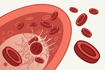 83 Medical illustration, red blood cells, microscopic view, cross-section, cellular structure, hemoglobin, circulatory system, 3D rendering, scientific visualization, anatomical detail, high magnifica