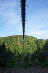 Obraz premium Geierlay suspension bridge in Germany photographed from below