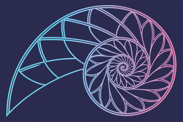 Obraz premium 88 Neon spiral, geometric abstract, vibrant colors, blue and pink gradient, intricate patterns, circular design, hypnotic swirl, digital art, glowing lines, symmetrical composition, futuristic aesthet