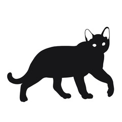 the cat silhouette