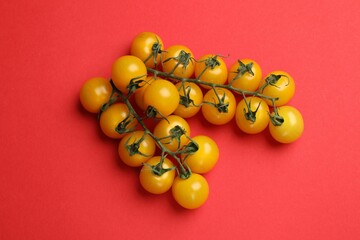 Ripe yellow cherry tomatoes on red background, flat lay