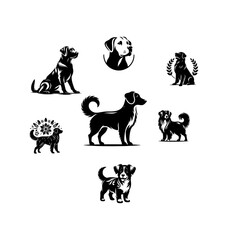 dog's  group  vector