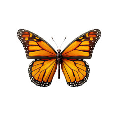 A beautifully detailed monarch butterfly with vibrant orange and black wings is showcased against a stark white background in this stunning wildlife photograph.