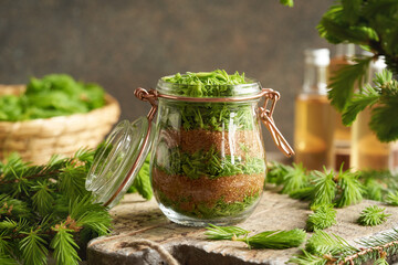 Making homemade herbal syrup from young raw spruce tips collected in spring and brown sugar