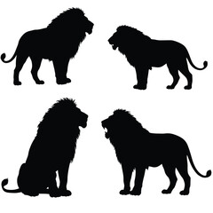 Lion roaring silhouette vector on a white background. Wild lion silhouette set vector. Male lion silhouette bundle design. Carnivore animals sitting in different positions silhouette collection.